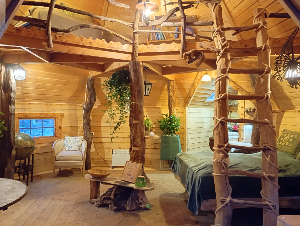 kota, insolite, cabane