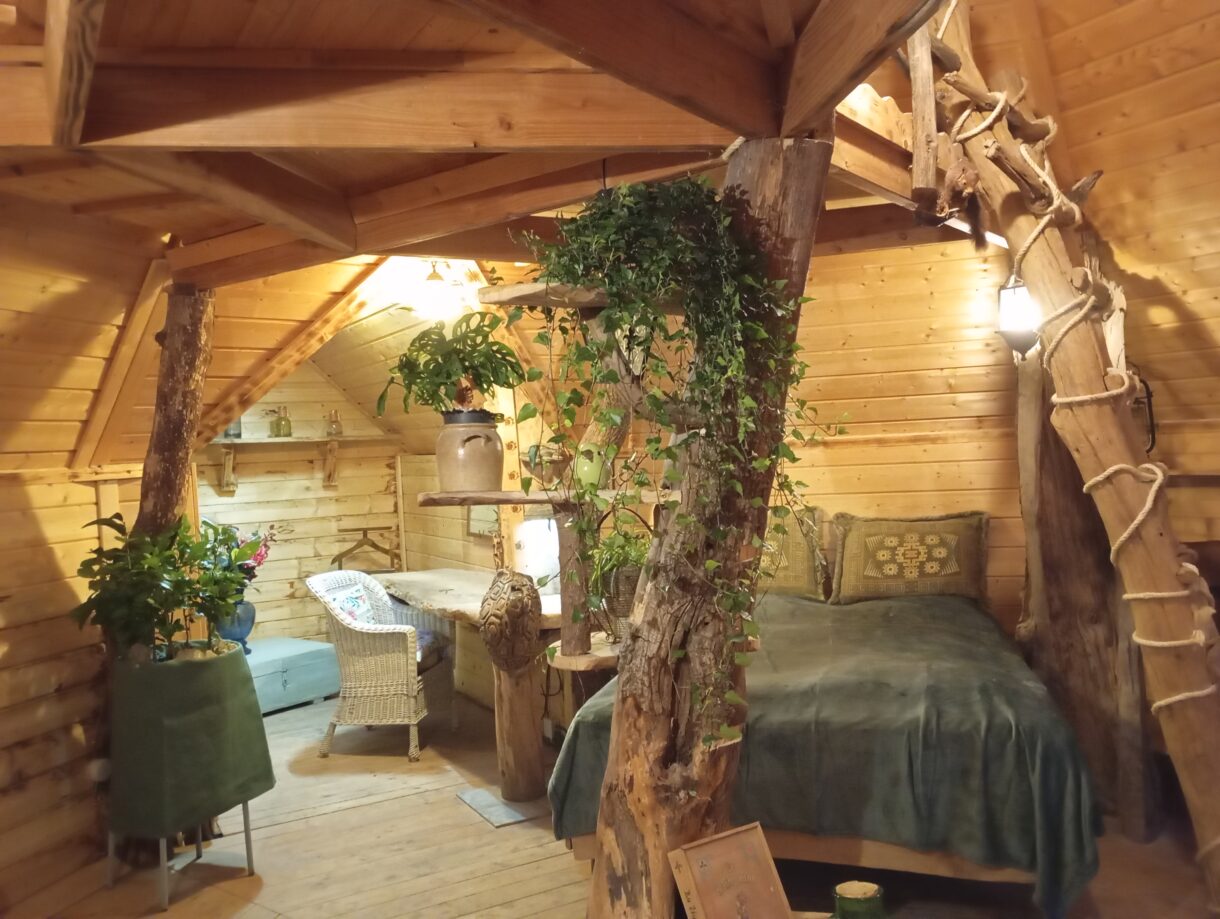 kota, insolite, cabane
